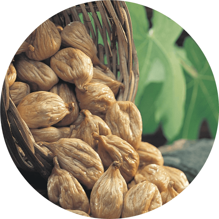 fig